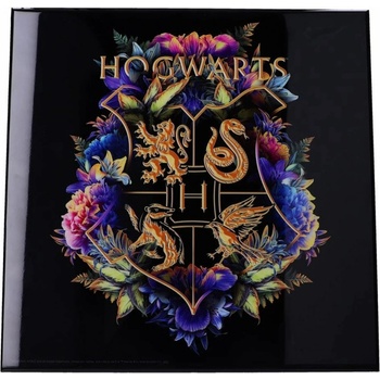 Nemesis Now Obraz Harry Potter - Hogwarts Fine Oddities Crystal Clear Art Pictures (Nemesis Now)