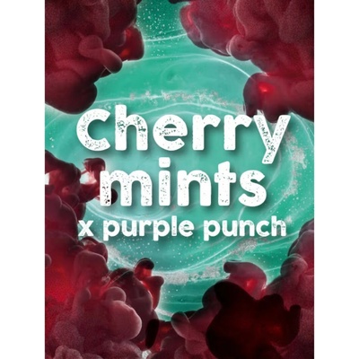 Tramuntana Seeds Cherry Mints x Purple Punch semienka neobsahujú THC 5 ks
