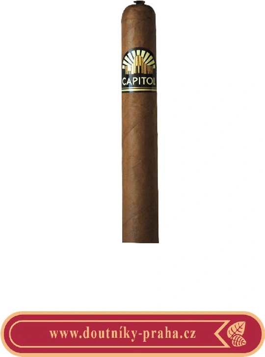 Capitol Gala Double Robusto