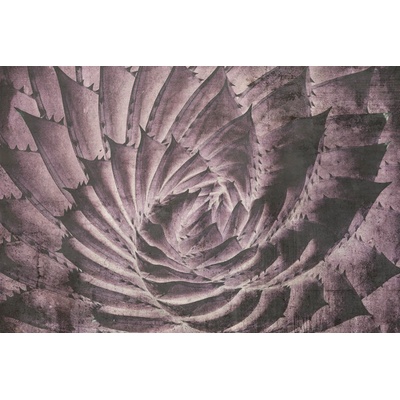 DIMEX MS-5-0352 vliesová fototapeta rozměry 375 x 250 cm
