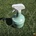 Prosperplast 1200 ml mentolový