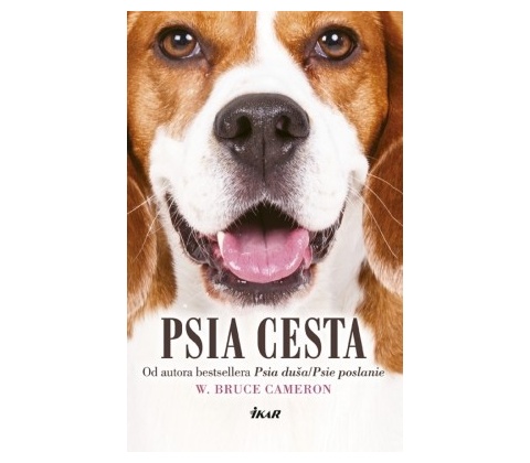 Psia cesta