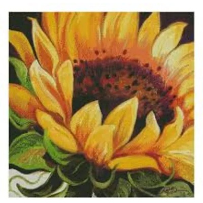 Слънчоглед 40/40 см