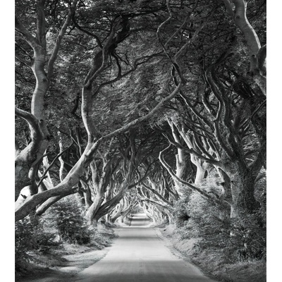 Komar Vliesová fototapeta Forevenue 250 x 280 cm