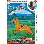 DM discont Lví král - Simba 8 - DVD (002380)