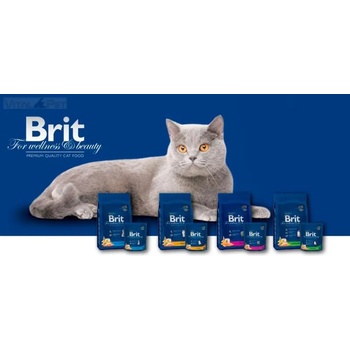 Brit Premium Cat Adult salmon 8 kg