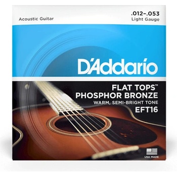 D'addario EFT16