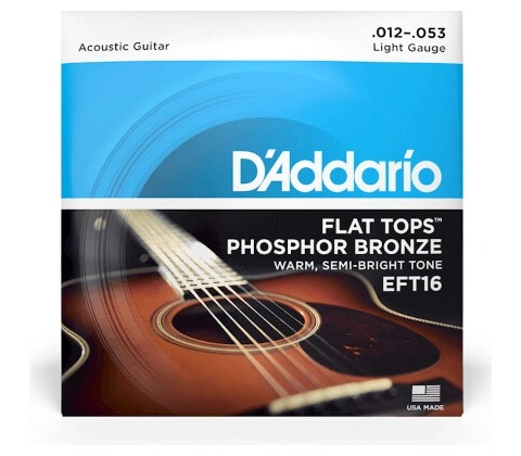 D'addario EFT16