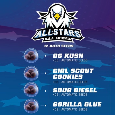 BSF Seeds All Stars USA Automix semienka neobsahujú THC 12 ks
