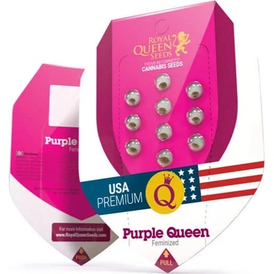 Royal Queen Seeds Purple Queen semena neobsahují THC 3 ks – Zboží Dáma