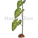 Hagen Exo Terra Dripper Plant L 55 cm