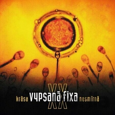 Vypsaná Fixa - Krása nesmírná XX CD