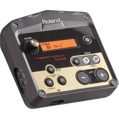 Roland Group TM-2