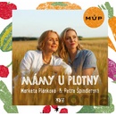 Mámy u plotny