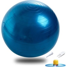 Bomba Fitness Lopta s pumpou 45cm Modrá