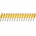 DeWalt DCN8901055