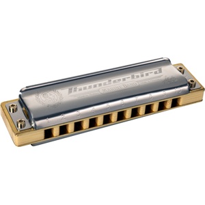 Hohner Marine Band Thunderbird Richter-LEb ( Low Eb ) Диатонична устна хармоника (M201114P)