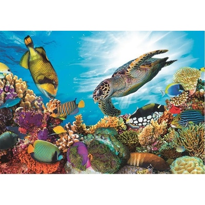 HAPPY SPIRIT Podmořský svět 3D 48 dielov