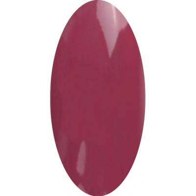Laif Barevný Led Uv gel PT 105 hnědý 6 ml