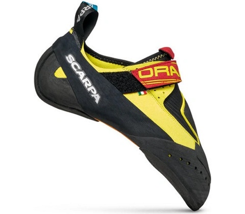 Scarpa Drago