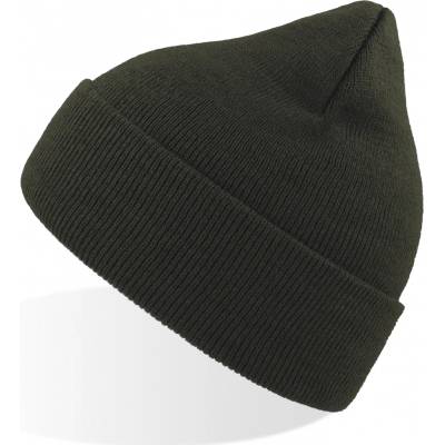 Atlantis Eko beanie FOREST GREEN