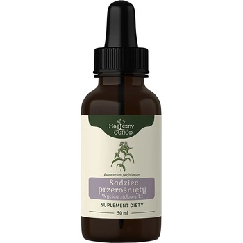 NANGA Дъбравник, тинктура 50 ml | Nanga (419972 NNG)