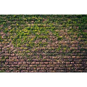 DIMEX ART Флизелинов фототапет тухлена стена с мъх 375 x 250 см
