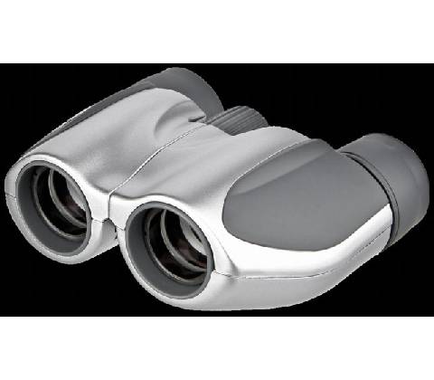 Olympus 10x21 DPC I