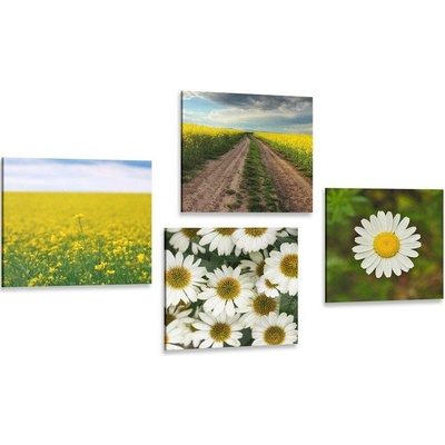 Set obrazů louka plná květin - 4x 40x40