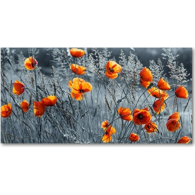 Moderný sklenený obraz z fotografie poľné mak 100x50 cm