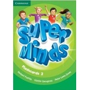 Super Minds 2 Flashcards