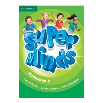 Super Minds 2 Flashcards