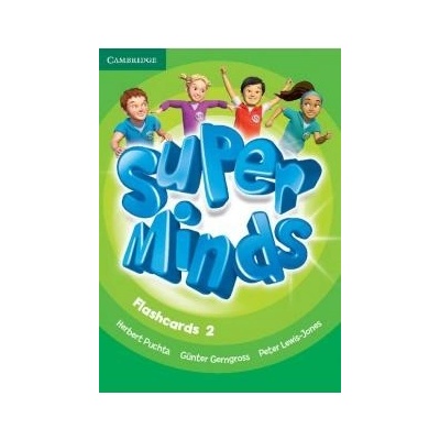 Super Minds 2 Flashcards