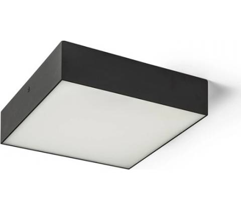 RENDL R13488