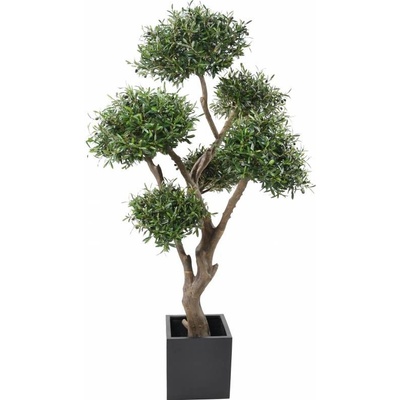 OLIVIER BONSAI MULTI HEAD, 235cm