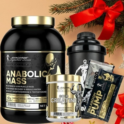 AKCE Kevin Levrone Mass 3000 g + Gold Creatine 300 g + ZDARMA Šejkr 500 ml + 2x vzorek – Zboží Dáma