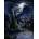 Ravensburger - Puzzle The Black-Blue Dragon - 1 500 piese