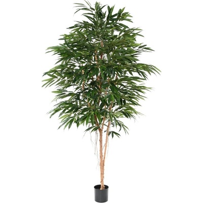 Luxusní umělý strom Ficus Alii Royal, 250cm