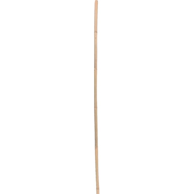 Opora rastlín 3 kusy 37 x 90 cm zelená | jaks