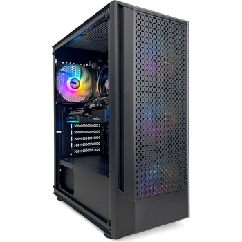 Datacomp Gamer Battlemage DTCPC442199