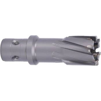 !!!! ABSE N-CA-F18-0240035