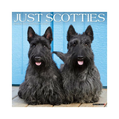 Scotties 12 X 12 Wall 2026
