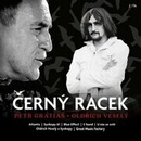 Černý racek