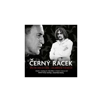 Černý racek