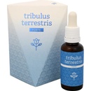 Energy Tribulus terrestris forte 30 ml