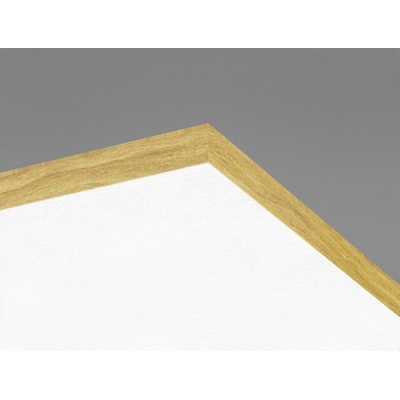Ecophon Advantage A T15/T24 NE 600x600x15mm White 500