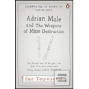 Adrian Mole and the Weapons of Mass Destruction - Sue Townsendová