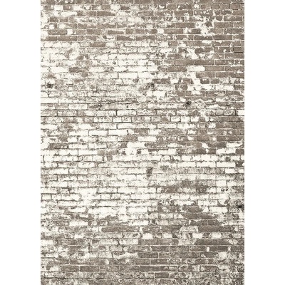 103431903 Vliesový panel Kamenný dekor 200x280 cm