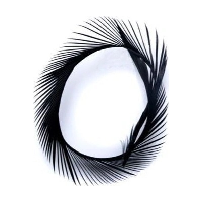 Veniard Husí Biots Goose Biot Strips Black