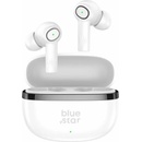 Blue Star Tws Model Ac20C With Enc Function